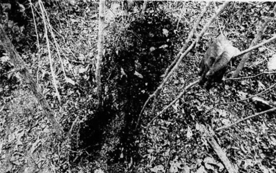 Evelyn Fisher body found